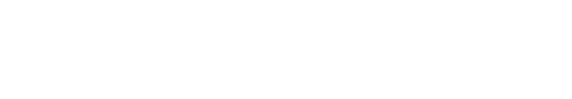 Airflow Logo White
